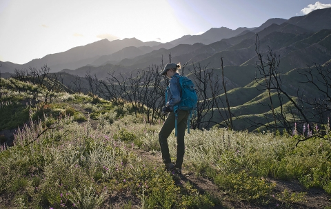 A woman standing in front of a scorched mountainside