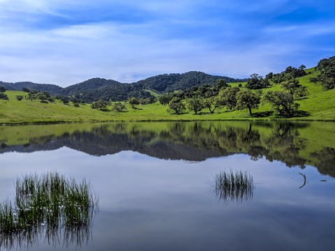 Rolling hills behind a pond