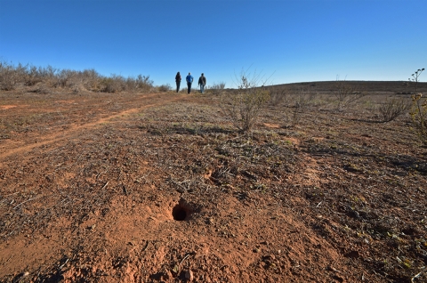 Three people are walking away in the background of grassland.