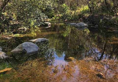 A river with rocks