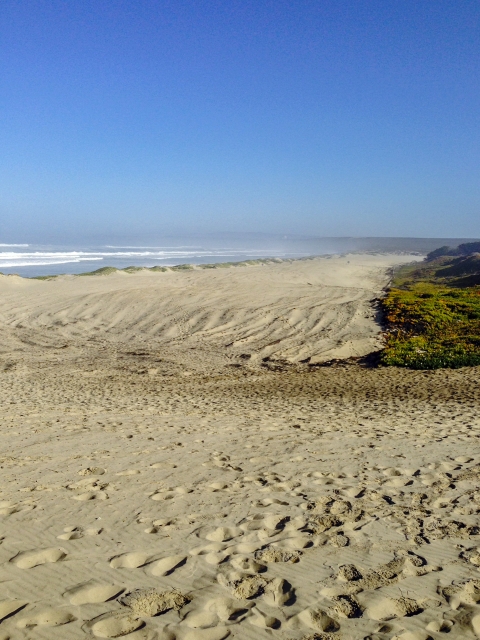 A sandy beach and a blue sky