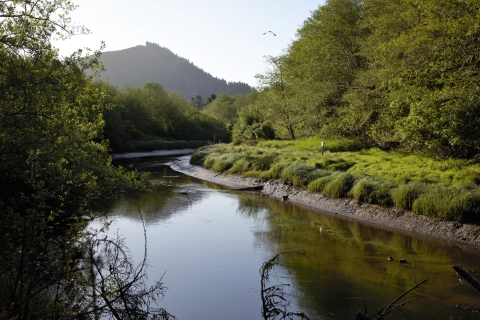 A heron flies in the distance over trees, forested hills, and a tidal slough