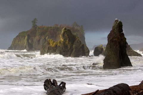 Coastal islands from Ruby Beach