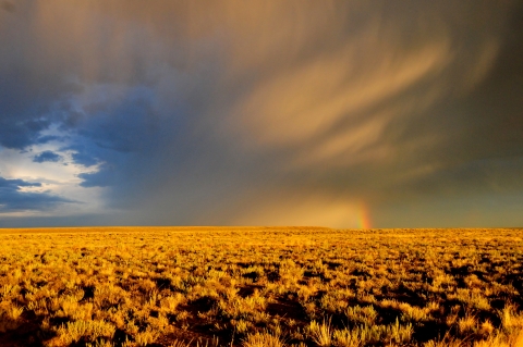 In the foreground a vast field of golden brown sagebrush land. In the distance a cloudy sky with a sliver of a rainbow on the horizon