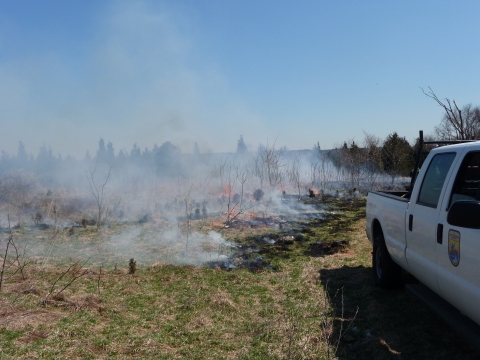 Refuge staff light prescribed fire on the refuge