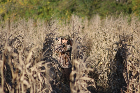 A photographer taking pictures while hidden in a corn field.