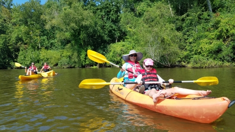 People kayaking in a lake on a bright sunny day.