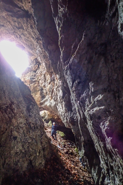 Biologist stands on a steep incline that leads to the sun-filled entrance of a mine