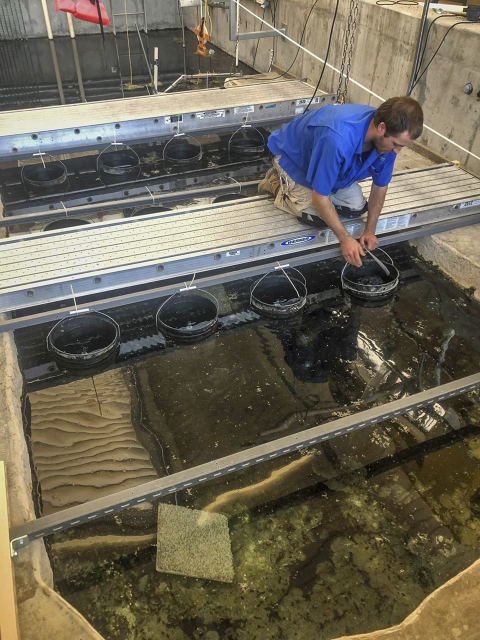 a man on a metal rail holds a bucket