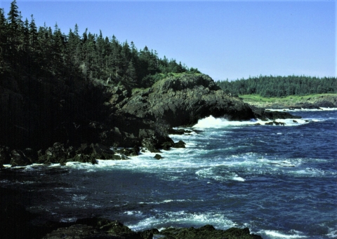 Cross Island rugged shoreline