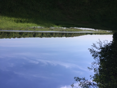 A moist soil unit when flooded.