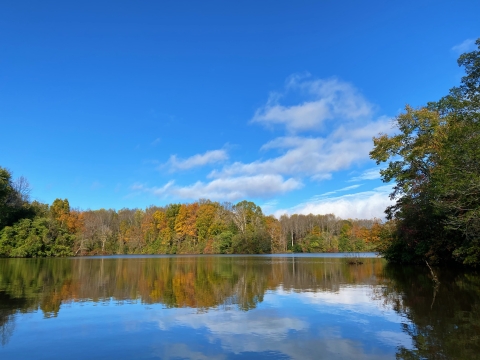 Pond with fall foliage in distance