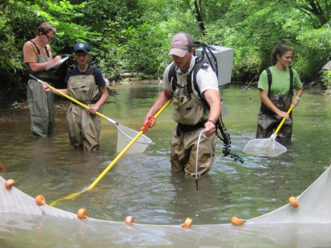 Fish sampling with SHU Partners