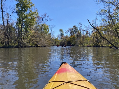 Kayak in the river