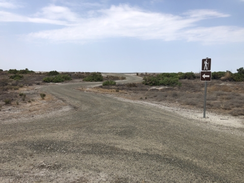 An intersection of two broad, gravel trails in flat terrain under a blue sky. Low grasses and shrubs are on either side of the trail. There is a sign with a hiker symbol and an arrow pointing to the left, further up the trail. 