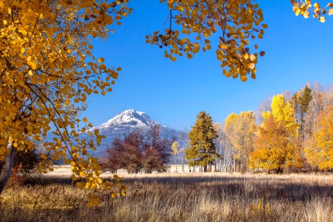 Fall On Conboy Lake National Wildlife Refuge