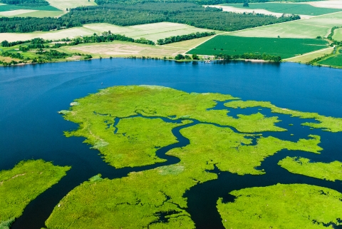 Nanticoke River with wetlands on one side of the river and farmlands on the other side