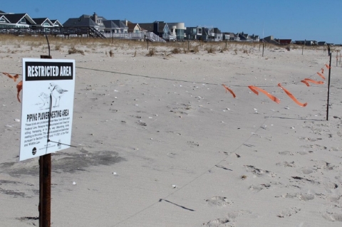 A sign on the beach indicating a protected bird area