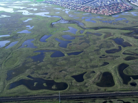 Vernal pools bordered by houses at Stone Lakes National Wildlife Refuge