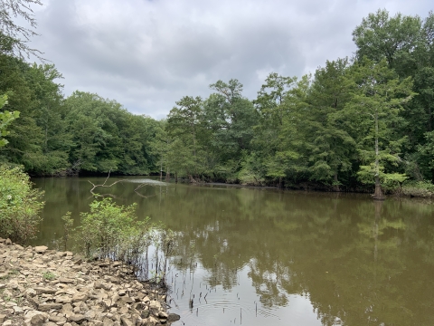 The Hatchie River in summer.