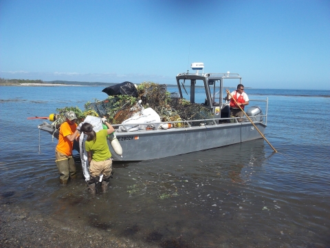 Removal of Marine Debris