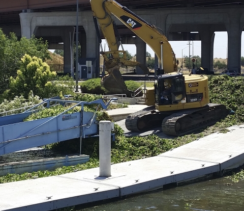 a yellow construction machine working in a marsh