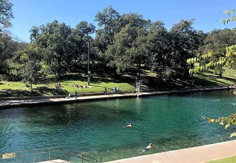 Several people swim in a pool while others have a picnic on the grassy banks.