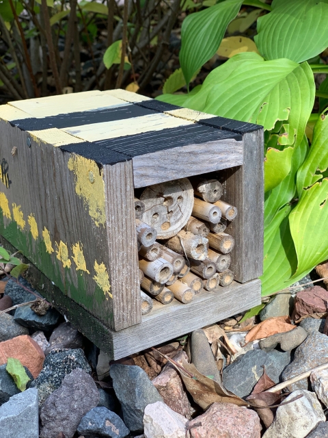 Bee house