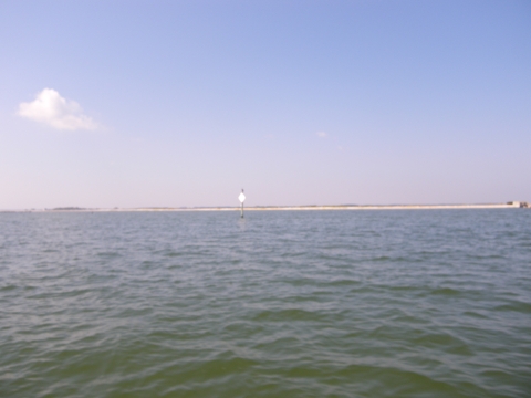 Sign in middle of water