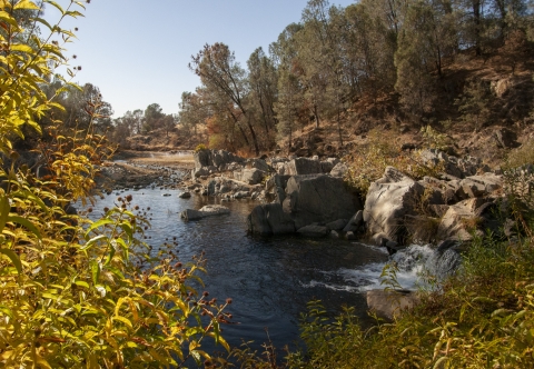 A creek with a small waterfall