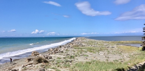 Dungeness Spit Trail on a Sunny Day