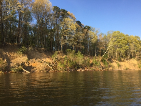 shoreline erosion