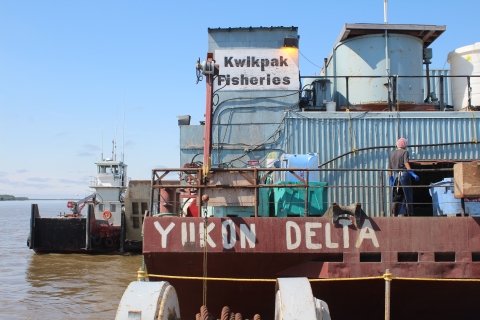 view of a dock in Yukon River delta