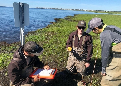 Two women and a man replacing a sensor near a wetland