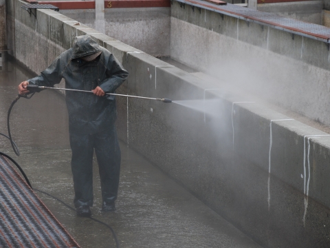 Quilcene National Fish Hatchery staff power washing the concrete raceways (fish tanks). 