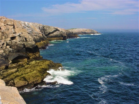 Seal Island south shore looking east