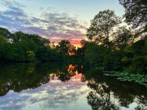 sunset on pond