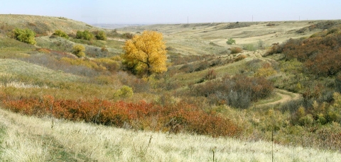 Rocky Flats NWR Rock Creek