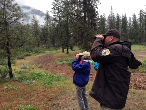 A visitor and a uniformed Service employee look through binoculars, standing in an open pine forest.