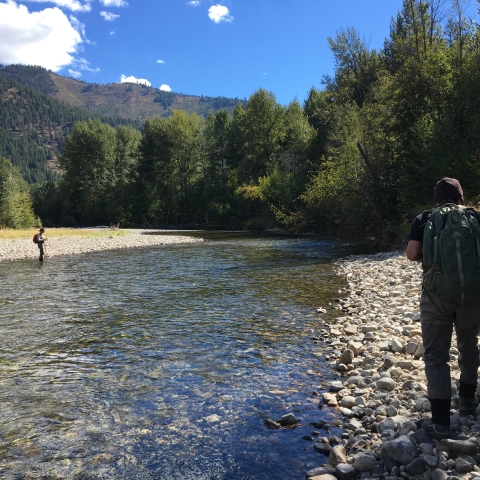 Two people in waders and wearing backpacks walk opposite side of a shallow river on a sunny day. The river is lined with tall leafy trees, a few of which are showing the beginnings of autumn colors.