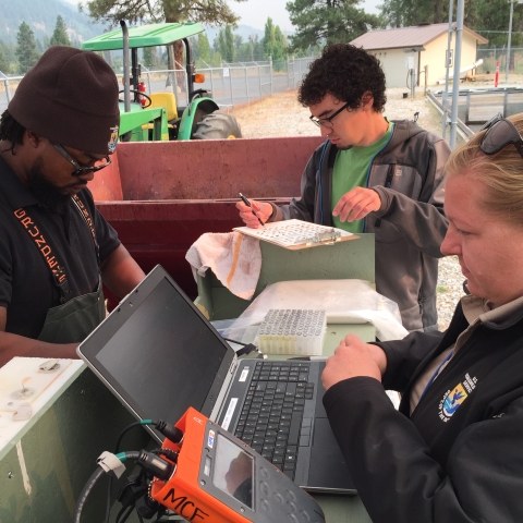 3 Service employees work together to collect data outside, using a computer, paper on clipboards, and other tools.