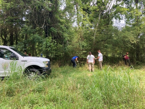 Youth Conservation Corps in field