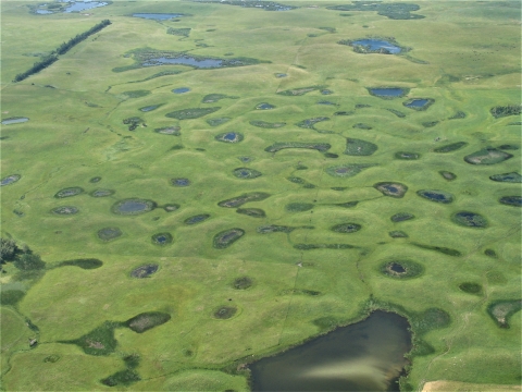 Prairie Pothole Region