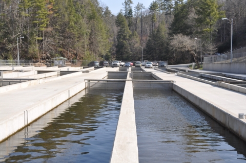 Outdoor raceways for trout rearing