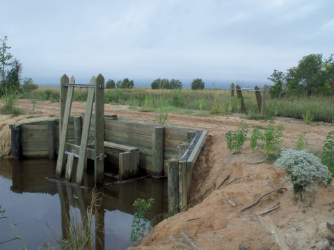 Impoundment structure managed to control the levels of water coming into or out of the impoundment to support wildlife needs. In the Lowcountry the structure is known as a rice trunk. 