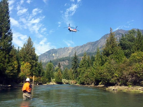 A man in hard hat, orange safety vest, and waders stands thigh-deep in a river, holding a staff. He is watching while a double-rotored helicopter hovers over the river, dangling a log on a long cable.