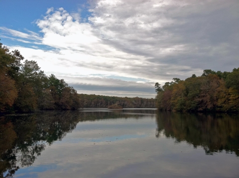 Moody Pond with a blue sky, white clouds, and fall foliage