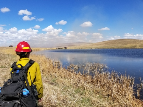 Prescribed Fire in the PPR