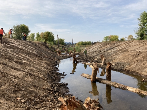 Channel filled with low level of water and large woody debris; construction works at the top of the banks; trees in the distance, with cloudy and blue skies