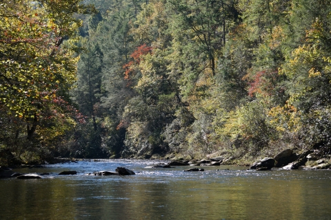 A river with boulders in the main channel and fall foliage along the banks